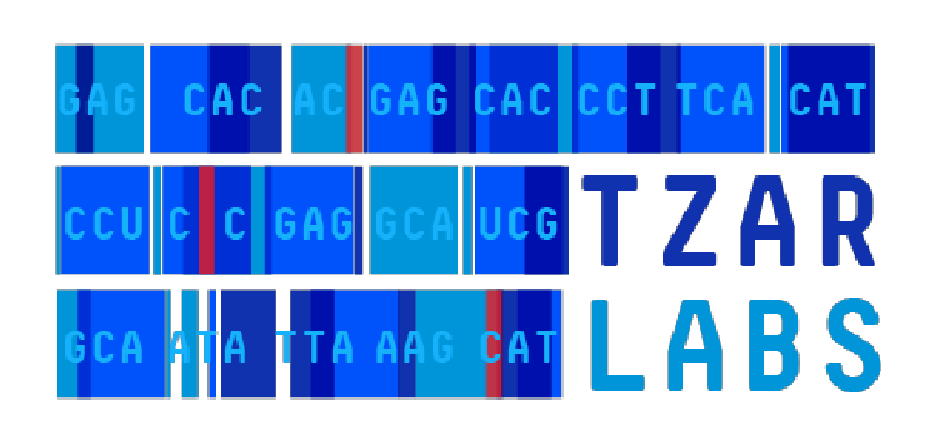Tzar Labs